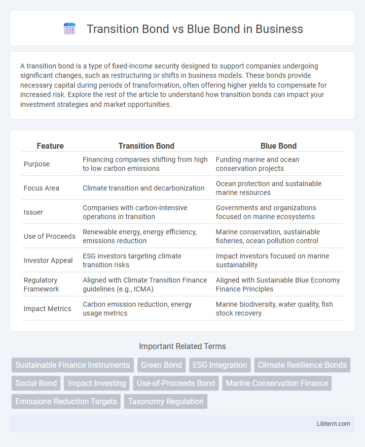 Blue Bond vs Transition Bond in Business - What is The Difference?