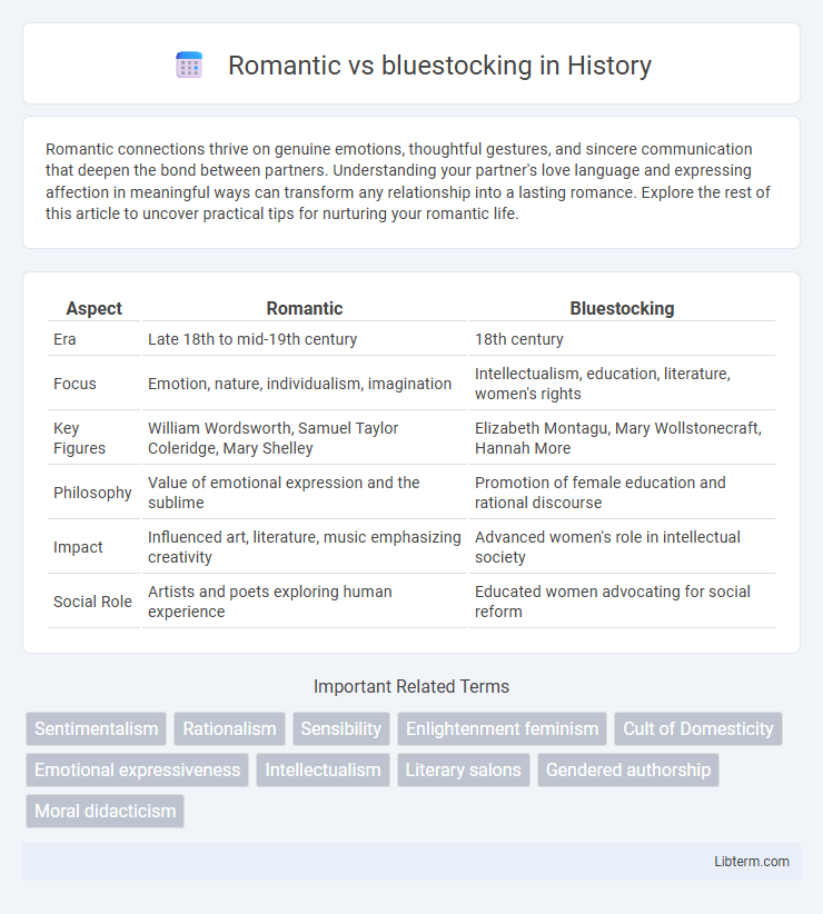 bluestocking vs Romantic in History - What is The Difference?