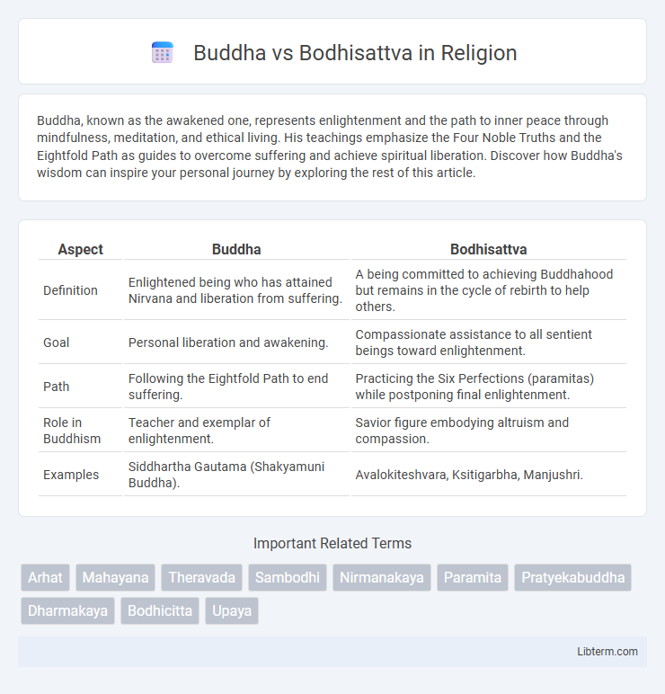 Bodhisattva vs Buddha in Religion - What is The Difference?