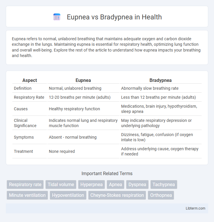Bradypnea vs Eupnea in Health - What is The Difference?