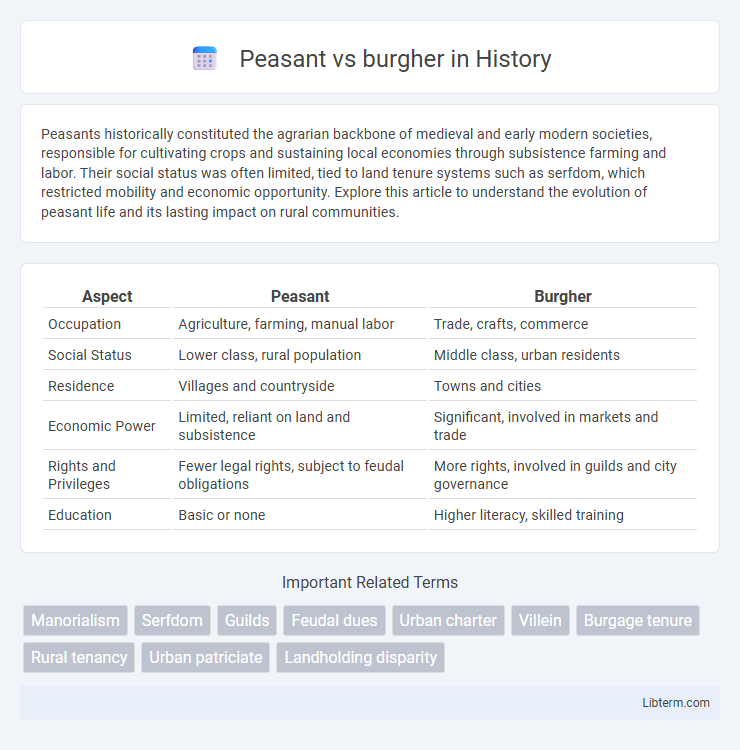 burgher vs Peasant in History - What is The Difference?