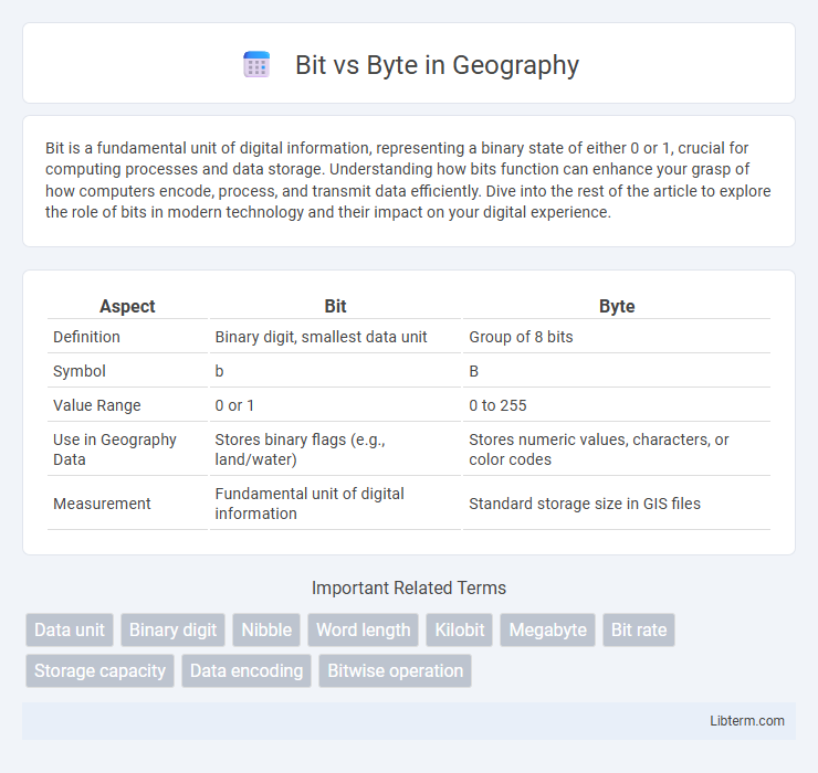 Byte vs Bit in Geography - What is The Difference?