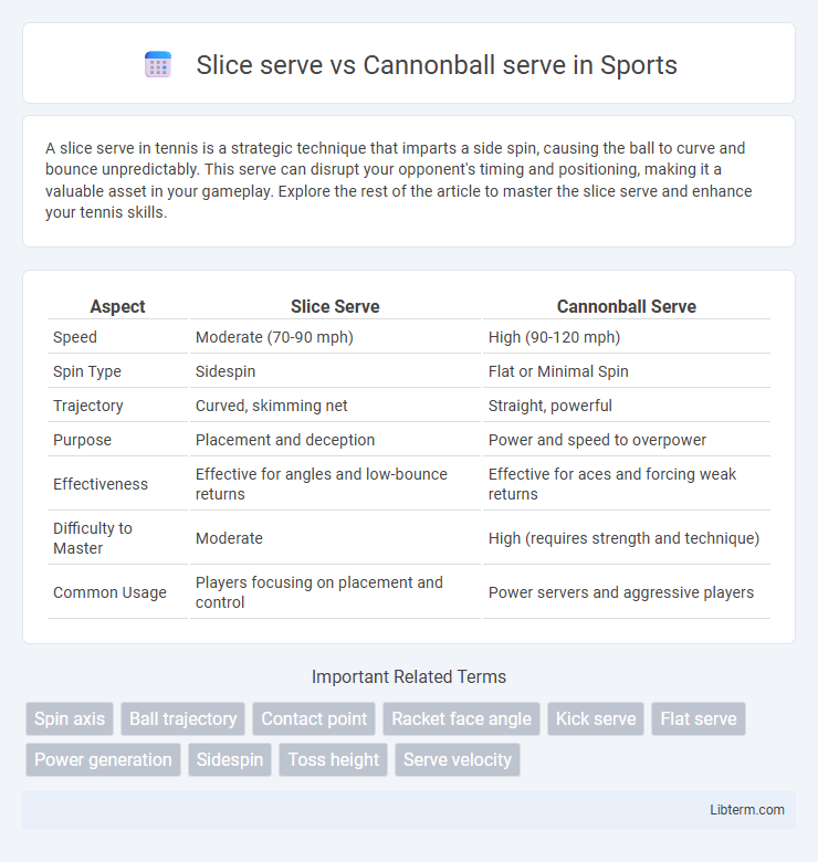 Cannonball serve vs Slice serve in Sports - What is The Difference?