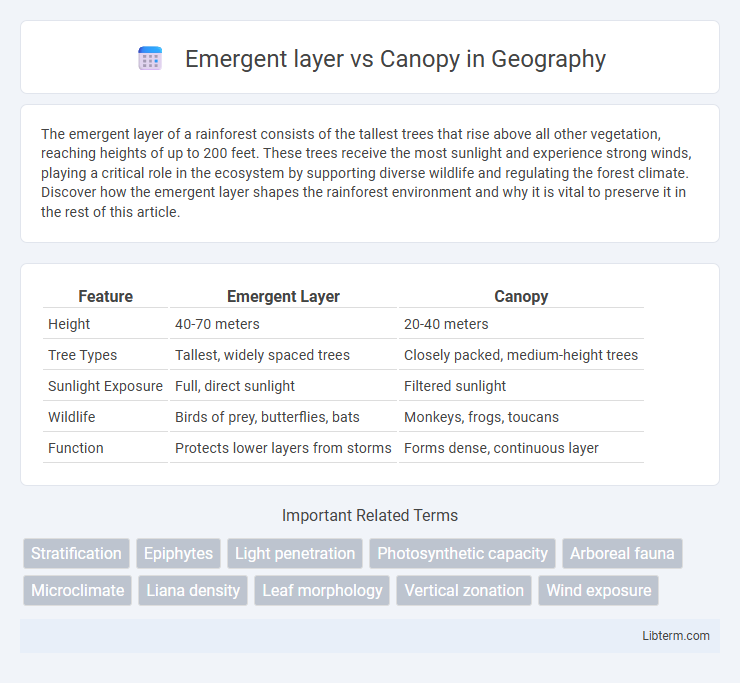 Canopy vs Emergent layer in Geography - What is The Difference?