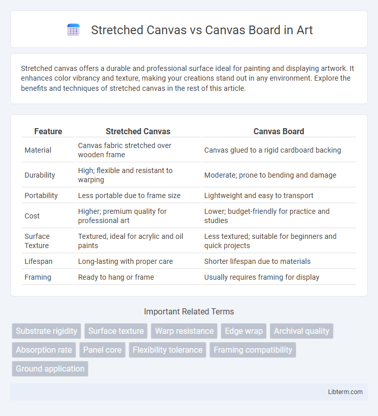 Canvas Board vs Stretched Canvas in Art - What is The Difference?