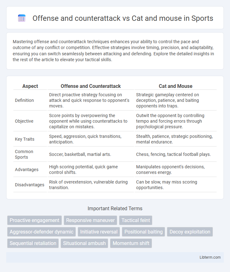 Cat and mouse vs Offense and counterattack in Sports - What is The Difference?