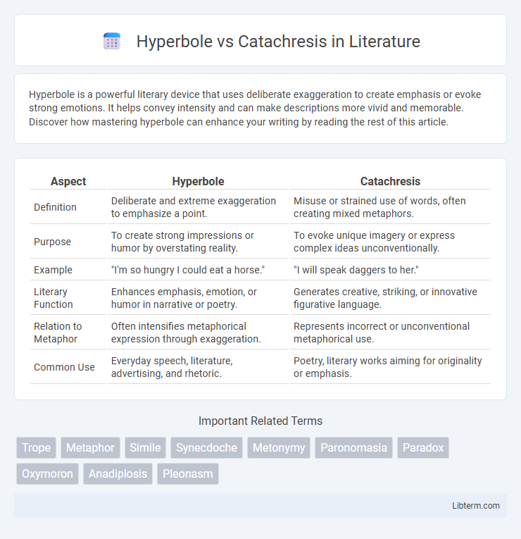 Catachresis vs Hyperbole in Literature - What is The Difference?