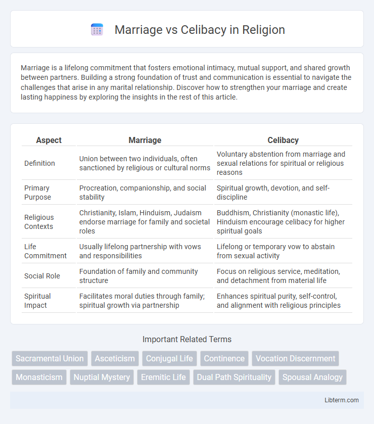 Celibacy vs Marriage in Religion - What is The Difference?