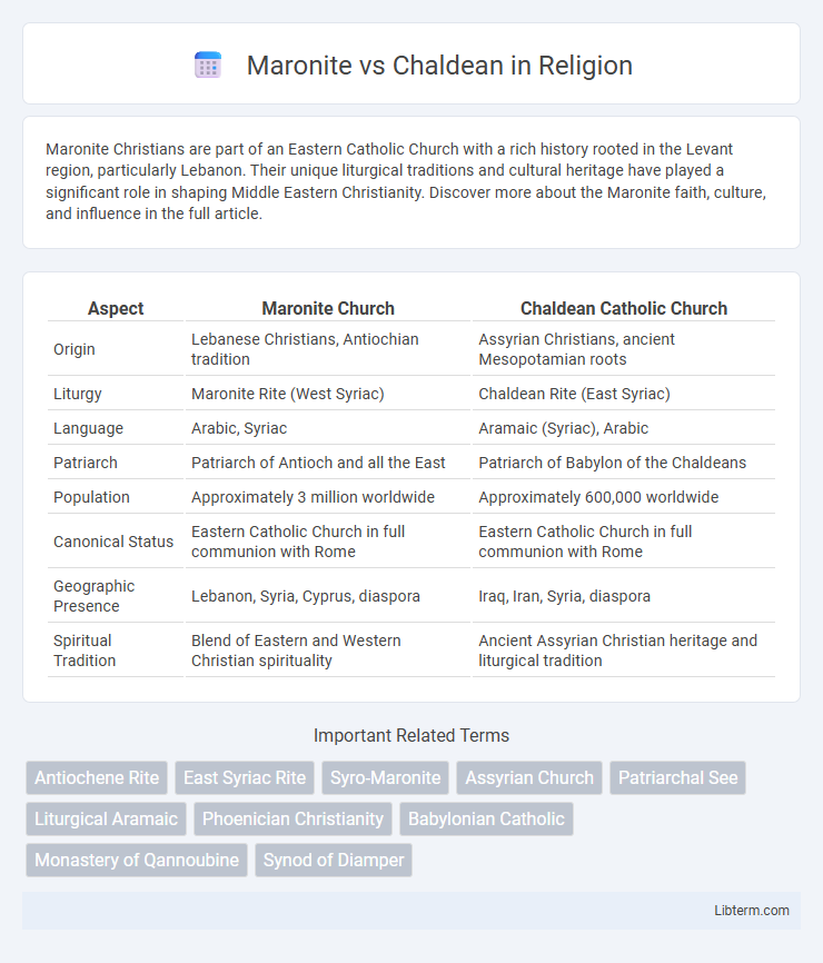Chaldean vs Maronite in Religion - What is The Difference?