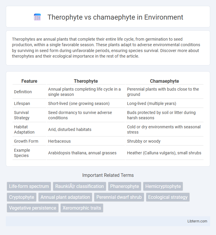 chamaephyte vs Therophyte in Environment - What is The Difference?