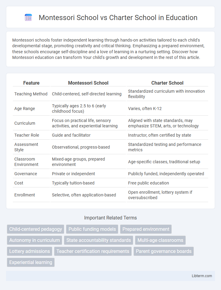 Charter School vs Montessori School in Education - What is The Difference?