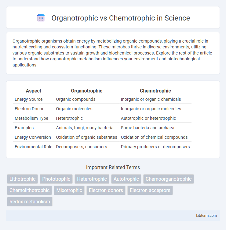 Chemotrophic vs Organotrophic in Science - What is The Difference?
