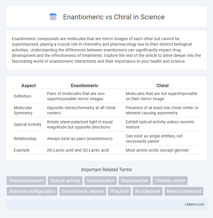 Chiral vs Enantiomeric in Science - What is The Difference?