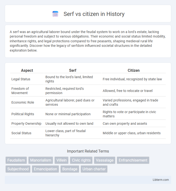 citizen vs Serf in History - What is The Difference?
