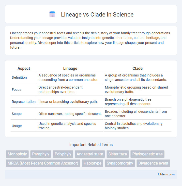 Clade vs Lineage in Science - What is The Difference?