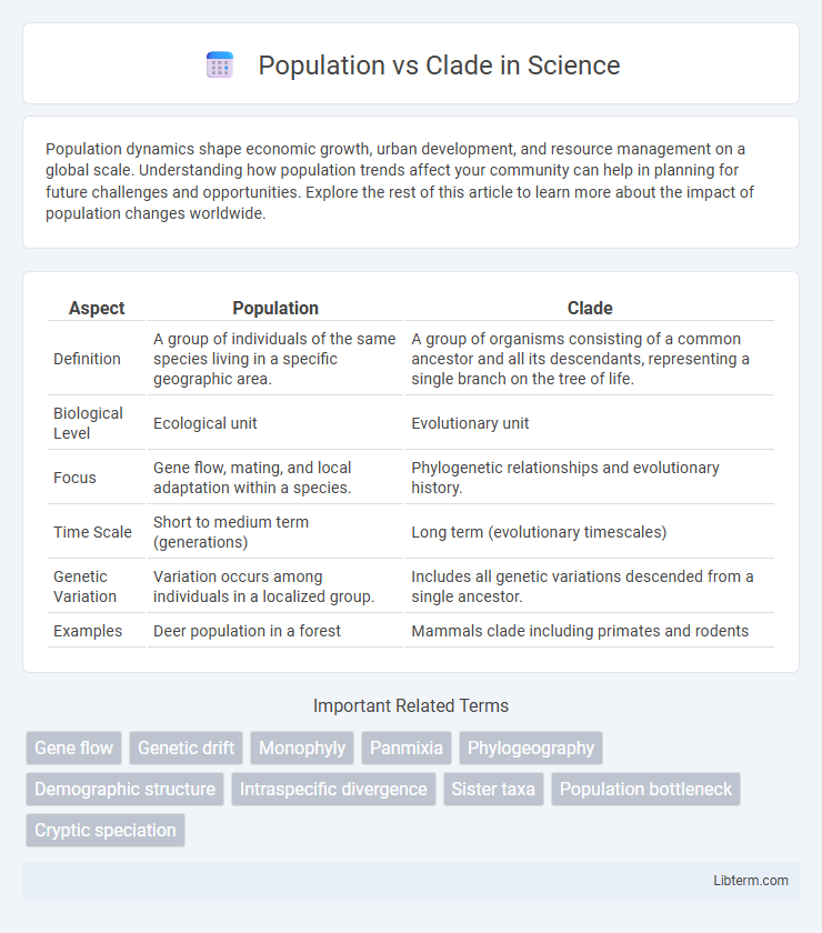Clade vs Population in Science - What is The Difference?