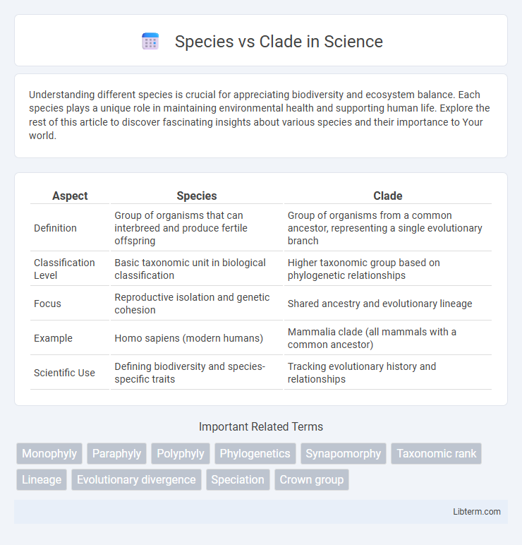 Clade vs Species in Science - What is The Difference?