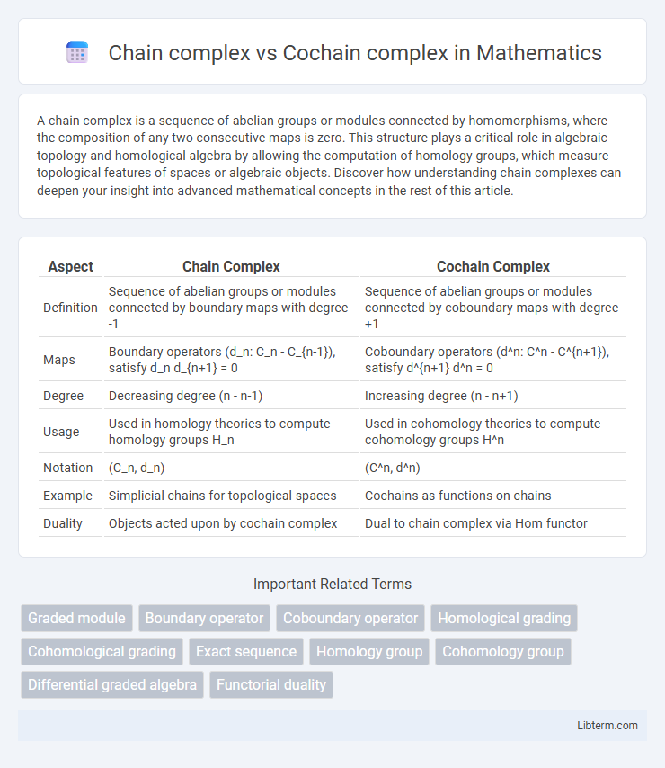 Cochain complex vs Chain complex in Mathematics - What is The Difference?