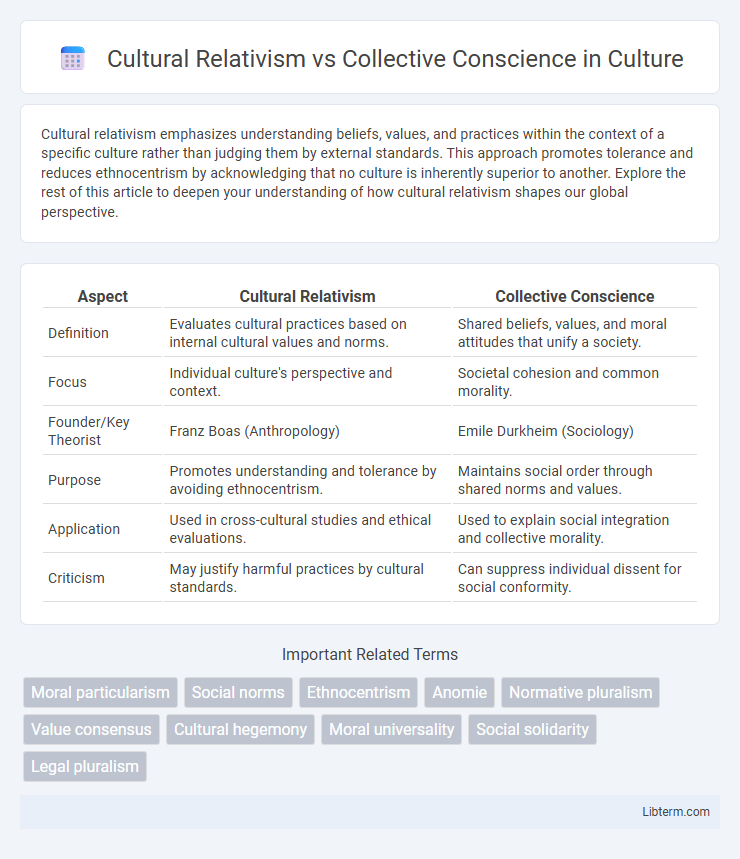 Collective Conscience vs Cultural Relativism in Culture - What is The Difference?