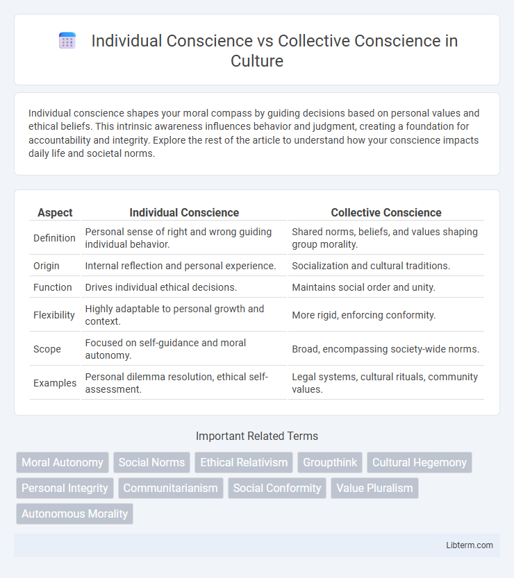Collective Conscience vs Individual Conscience in Culture - What is The Difference?
