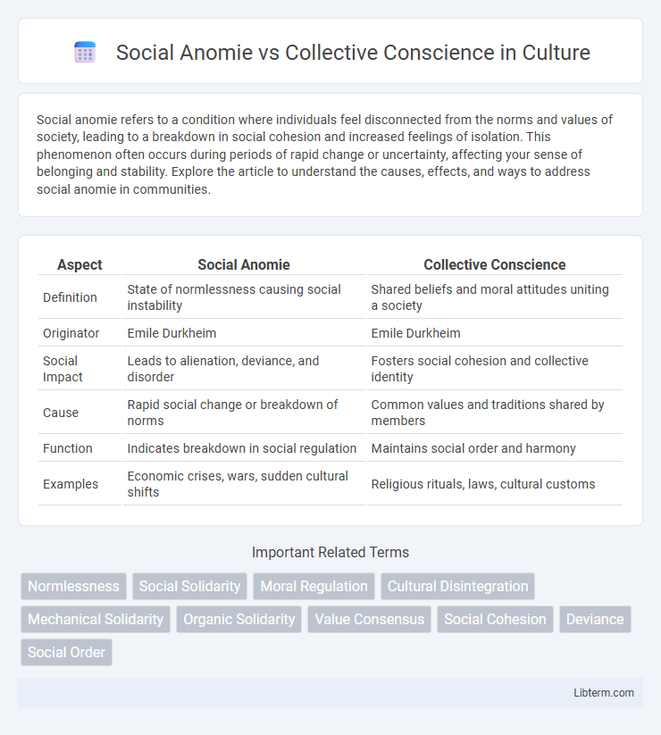 Collective Conscience vs Social Anomie in Culture - What is The Difference?