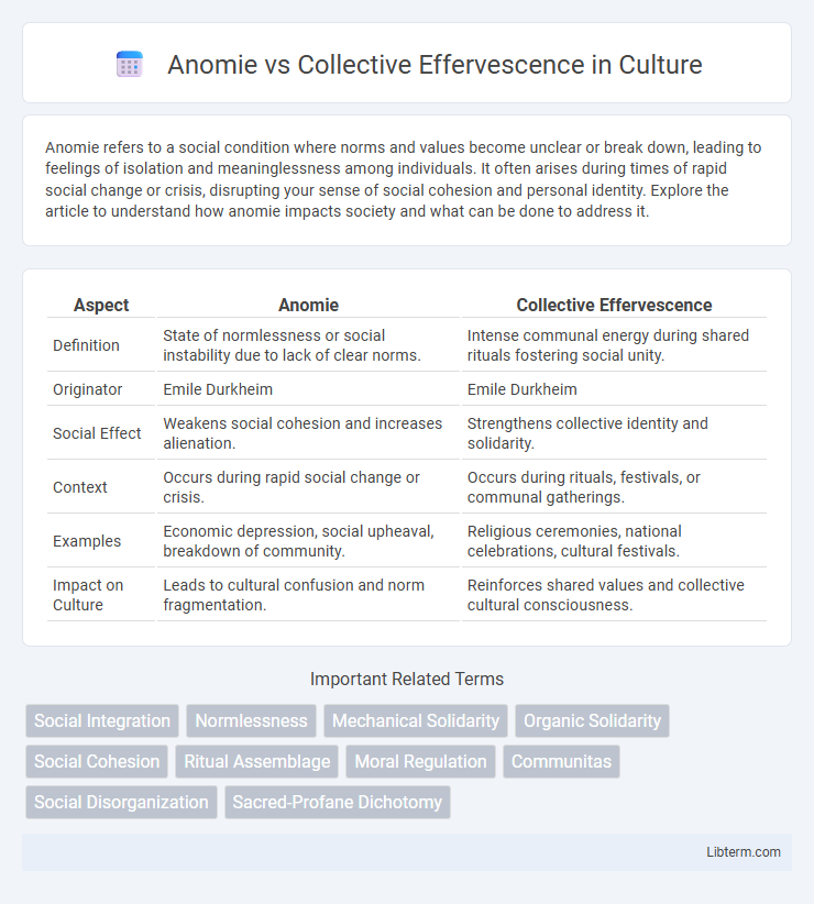 Collective Effervescence vs Anomie in Culture - What is The Difference?