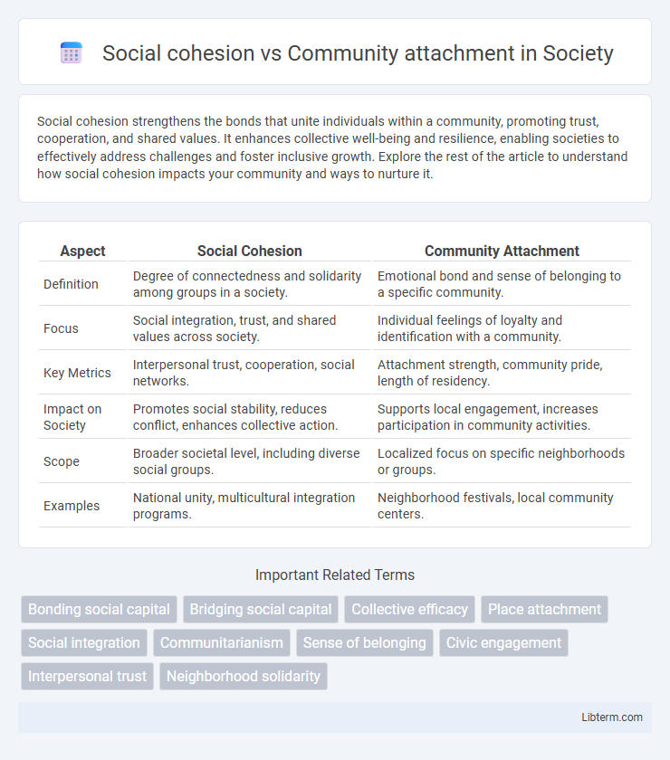 Community attachment vs Social cohesion in Society - What is The Difference?