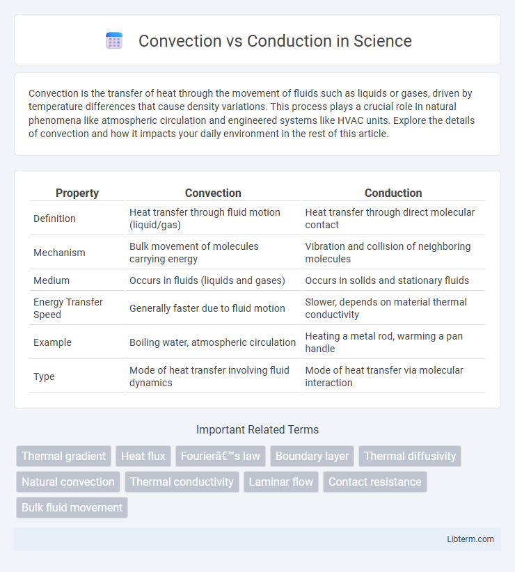 Conduction vs Convection in Science - What is The Difference?