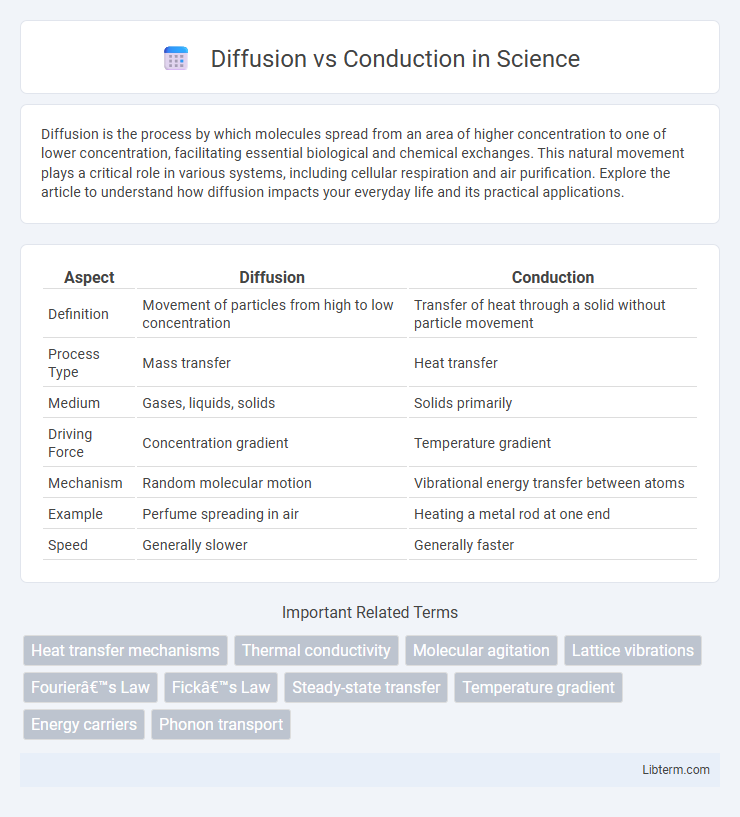 Conduction vs Diffusion in Science - What is The Difference?
