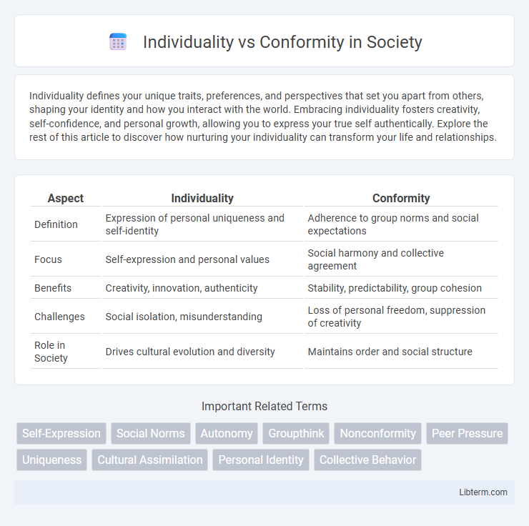 Conformity vs Individuality in Society - What is The Difference?