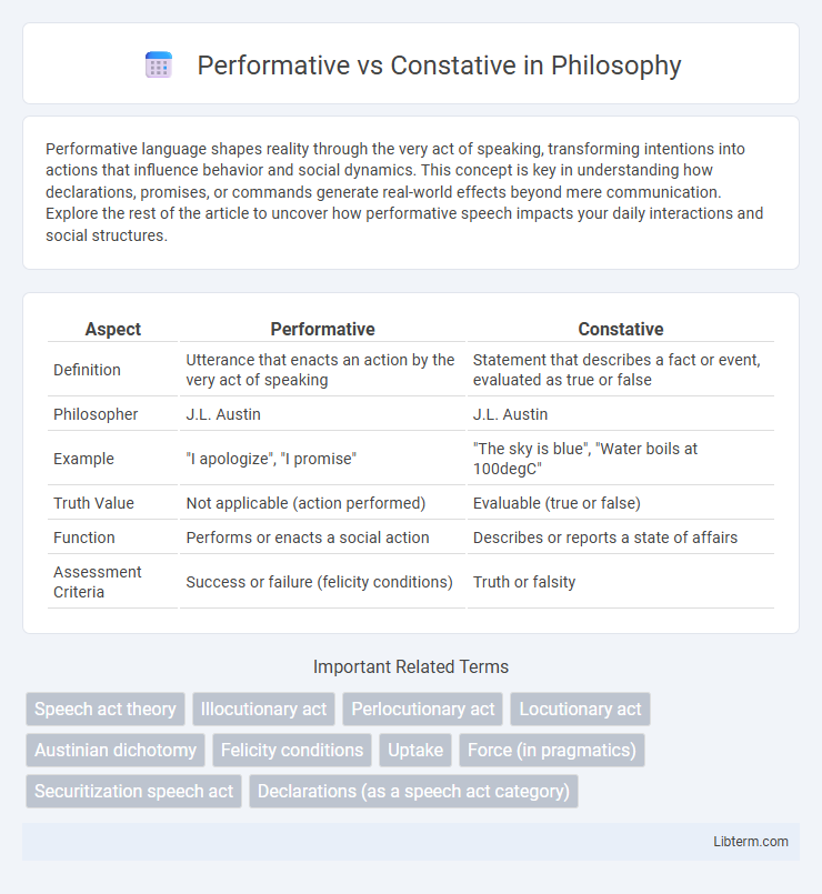 Constative vs Performative in Philosophy - What is The Difference?