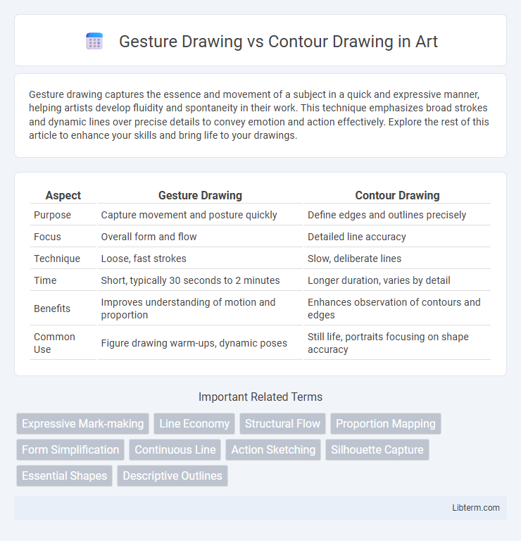 Contour Drawing vs Gesture Drawing in Art - What is The Difference?