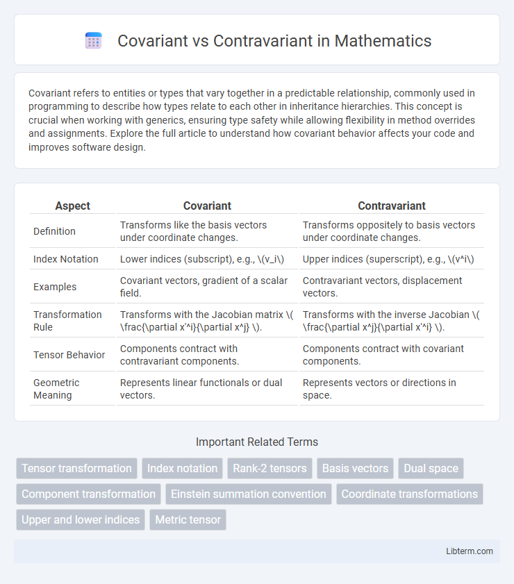 Contravariant vs Covariant in Mathematics - What is The Difference?