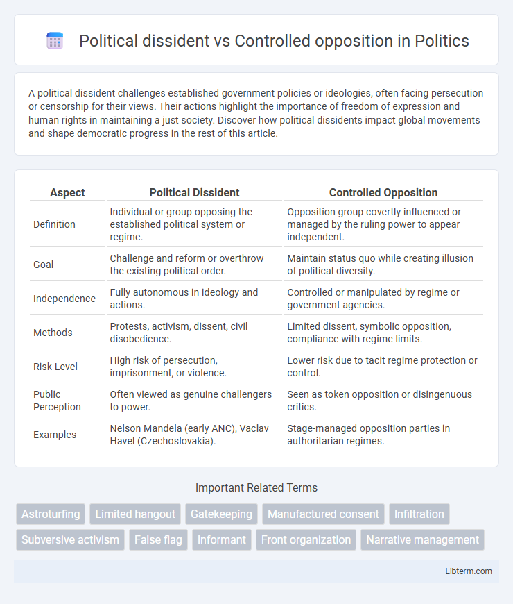 Controlled opposition vs Political dissident in Politics - What is The Difference?