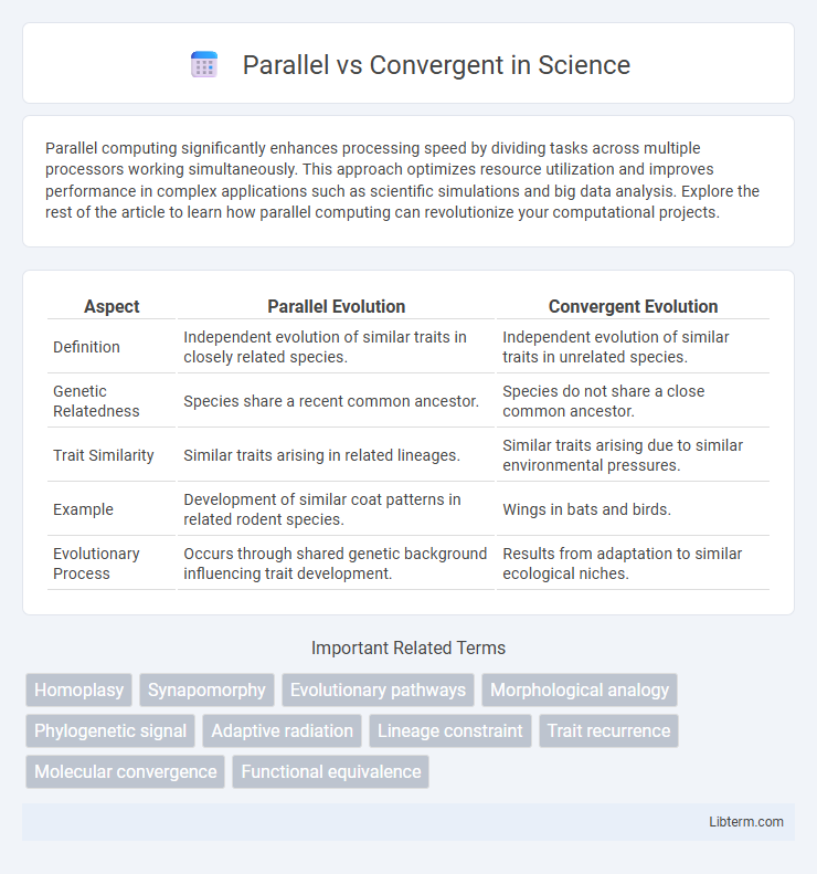 Convergent vs Parallel in Science - What is The Difference?