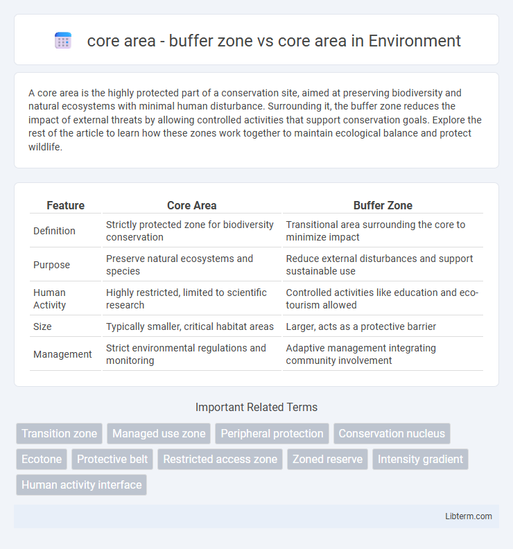 core area vs core area - buffer zone in Environment - What is The Difference?
