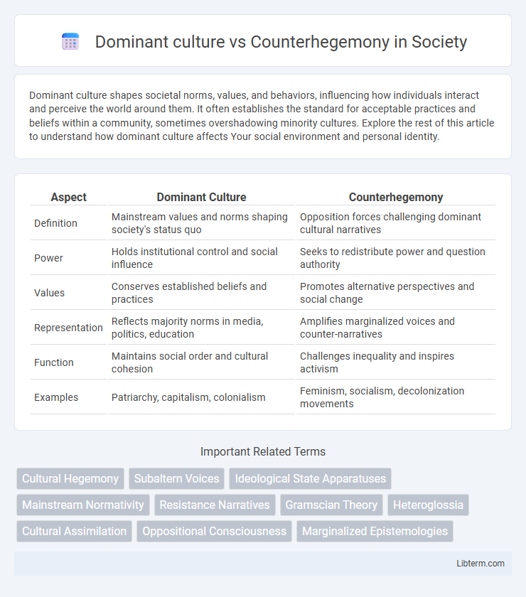 Counterhegemony vs Dominant culture in Society - What is The Difference?