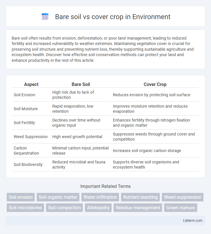 cover crop vs Bare soil in Environment - What is The Difference?