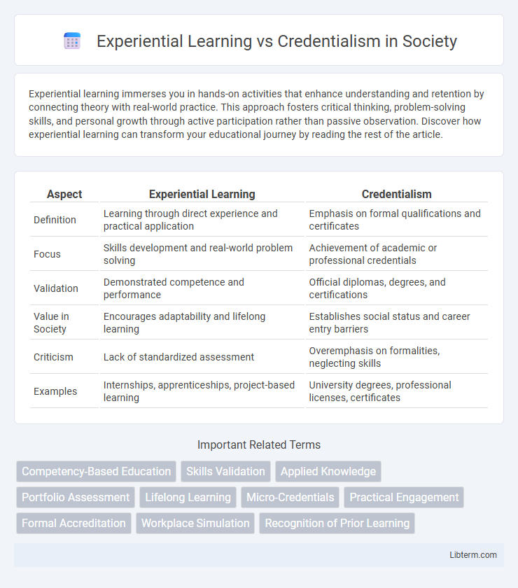 Credentialism vs Experiential Learning in Society - What is The Difference?