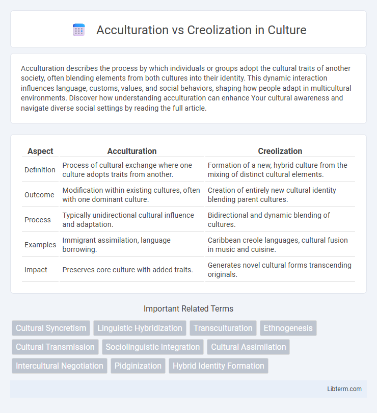 Creolization vs Acculturation in Culture - What is The Difference?