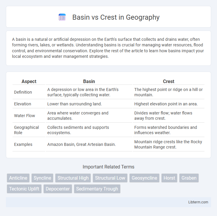 Crest vs Basin in Geography - What is The Difference?