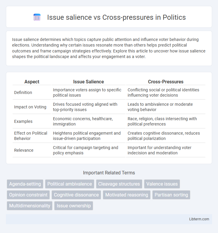 Cross-pressures vs Issue salience in Politics - What is The Difference?