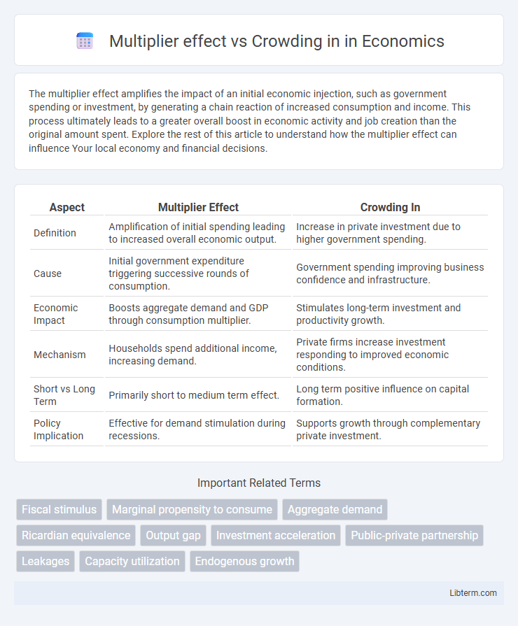 Crowding in vs Multiplier effect in Economics - What is The Difference?