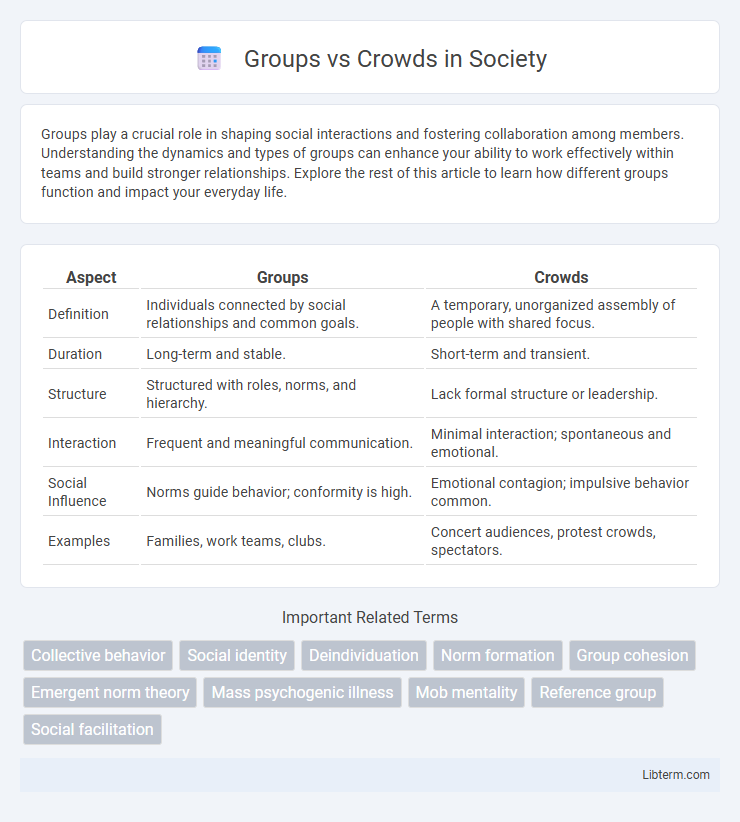 Crowds vs Groups in Society - What is The Difference?