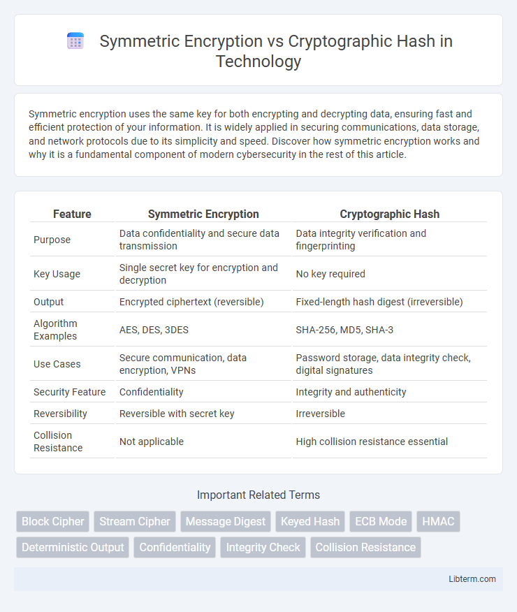 Cryptographic Hash vs Symmetric Encryption in Technology - What is The Difference?
