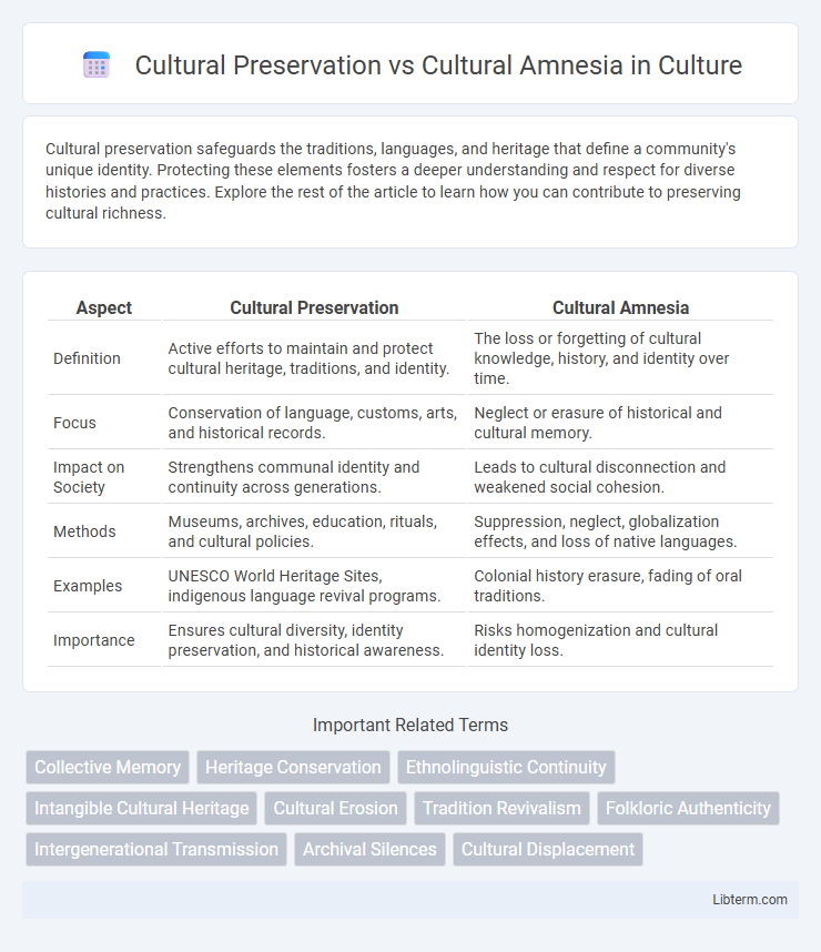 Cultural Amnesia vs Cultural Preservation in Culture - What is The Difference?