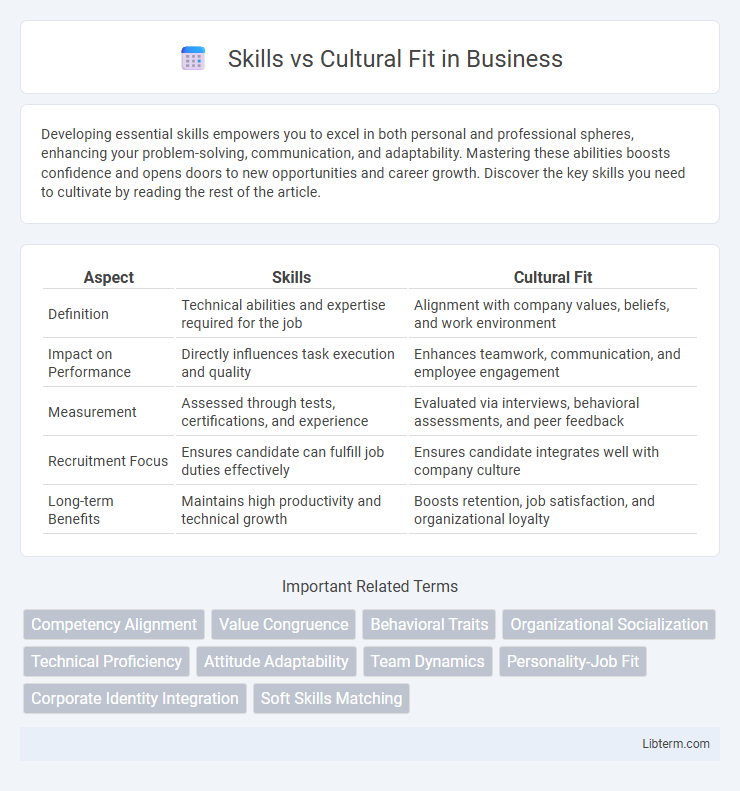 Cultural Fit vs Skills in Business - What is The Difference?