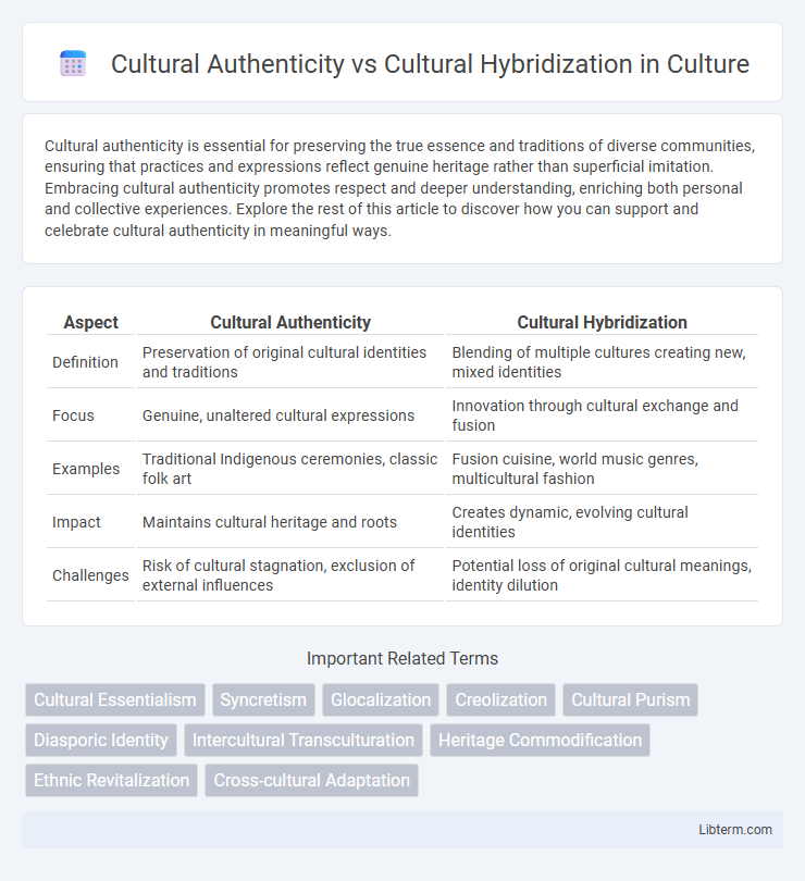 Cultural Hybridization vs Cultural Authenticity in Culture - What is The Difference?