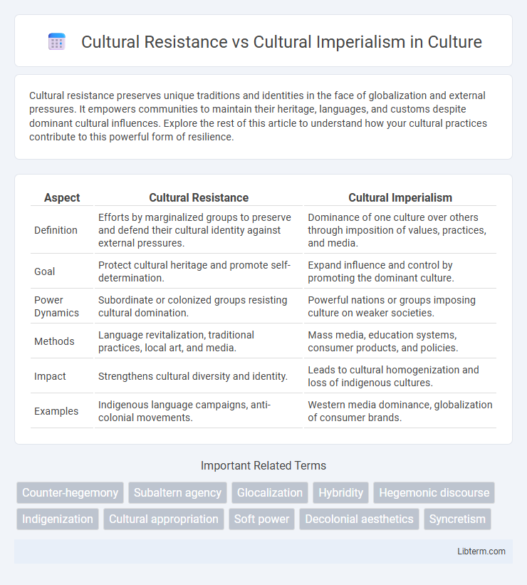 Cultural Imperialism vs Cultural Resistance in Culture - What is The Difference?