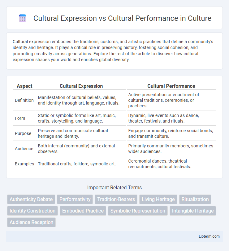 Cultural Performance vs Cultural Expression in Culture - What is The Difference?